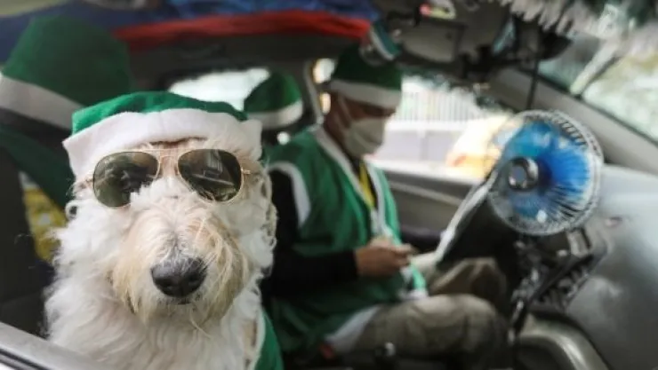 taxista-santa-claus-perro-colombia-esperanza-pandemia-covid-19.jpg