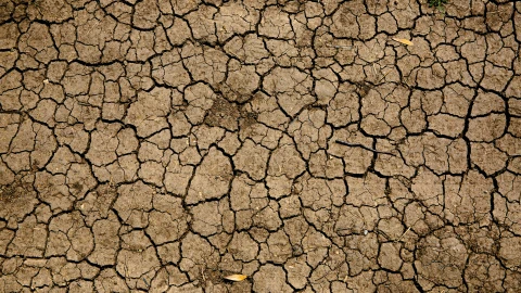 Crisis del agua