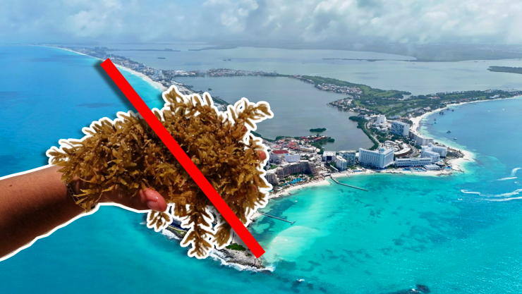 Playas sin sargazo en Quintana Roo HOY 24 de marzo de 2026_ Lista desde Holbox, Cancún, Tulum a Xcalak.webp