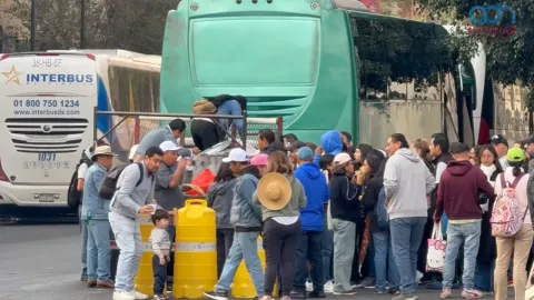 Acarreados-de-Morena-en-el Zocalo