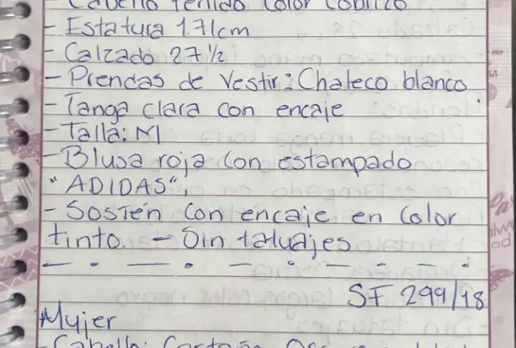 Anotan en libretas la descripción de cuerpos localizados en fosas