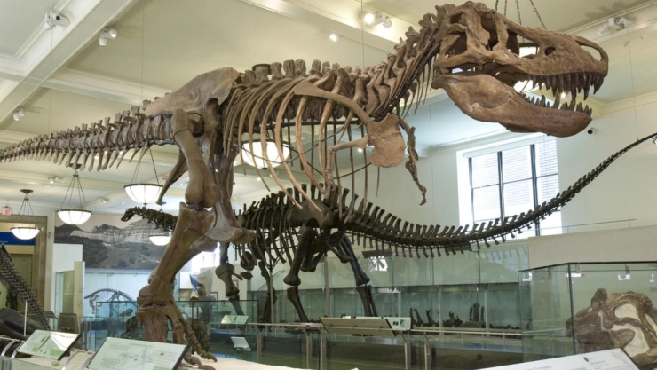 escuelas dinosaurios guarderias.jpg