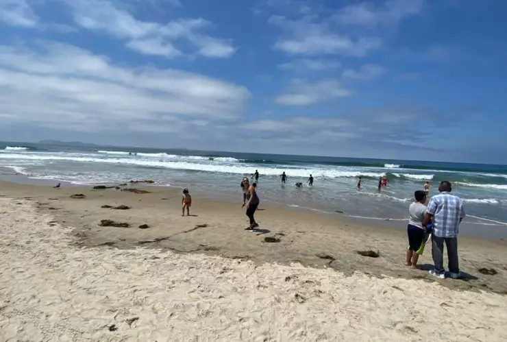 Playas de Tijuana está libre de contaminación