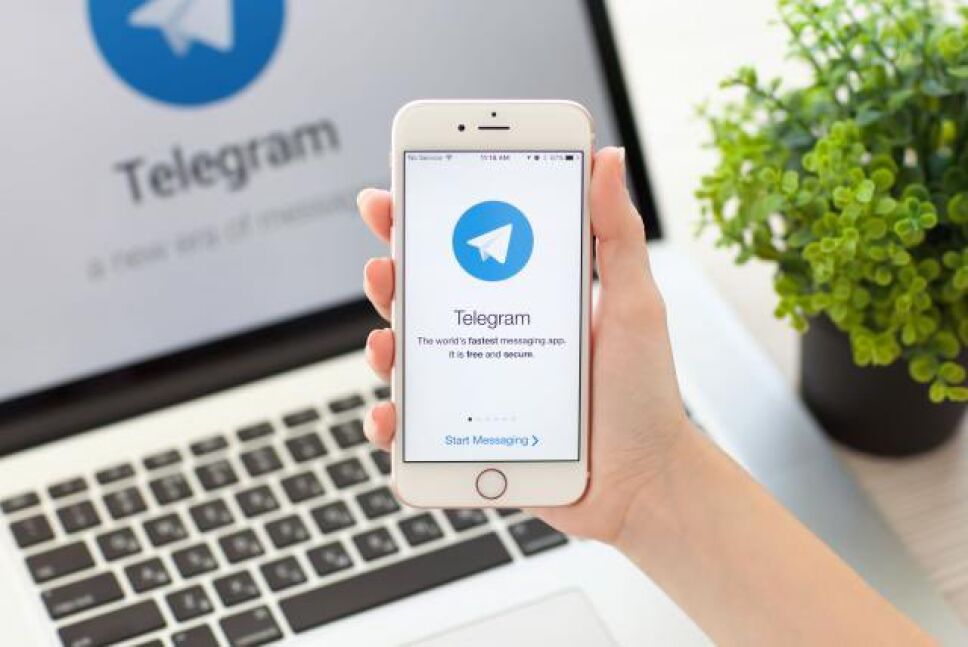 telegram-saturado-fallas