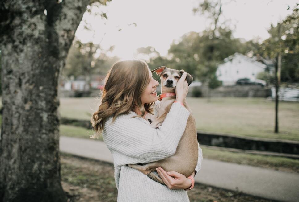 tradiciones raras de navidad animales que hablan