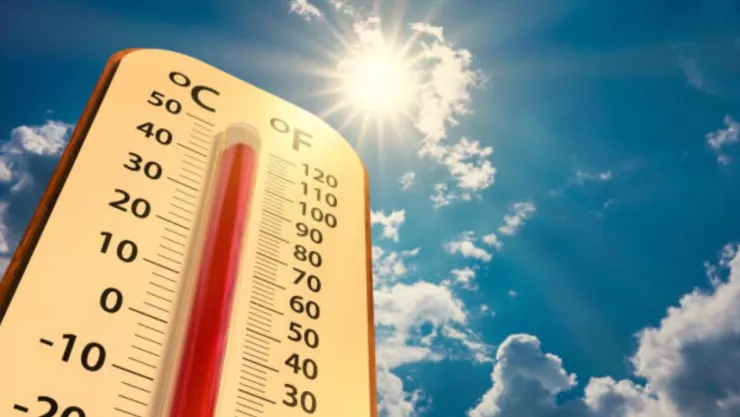 Texto del párrafo (9).jpg