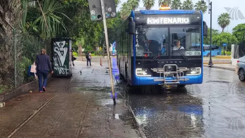 ¿Se suspende el transporte público en Yucatán por la Tormenta Tropical Helene_ Esto sabemos.