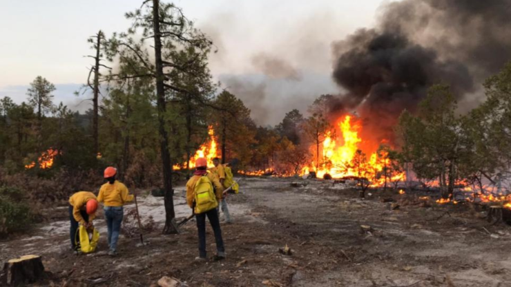 El incendio El Pilar