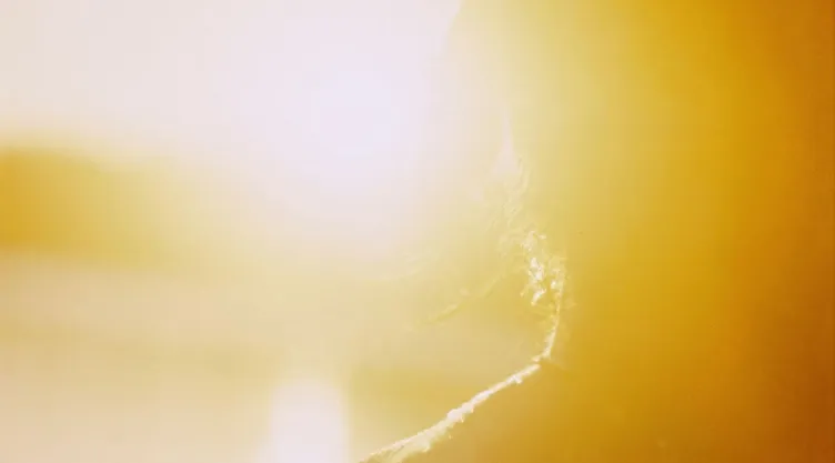 ¿Cómo afecta el calor al cerebro? Estos son sus efectos en la salud mental