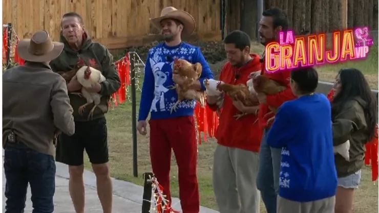 UNO a UNO, granjeros dan emotivo ADIÓS a las gallinas de La Granja VIP.