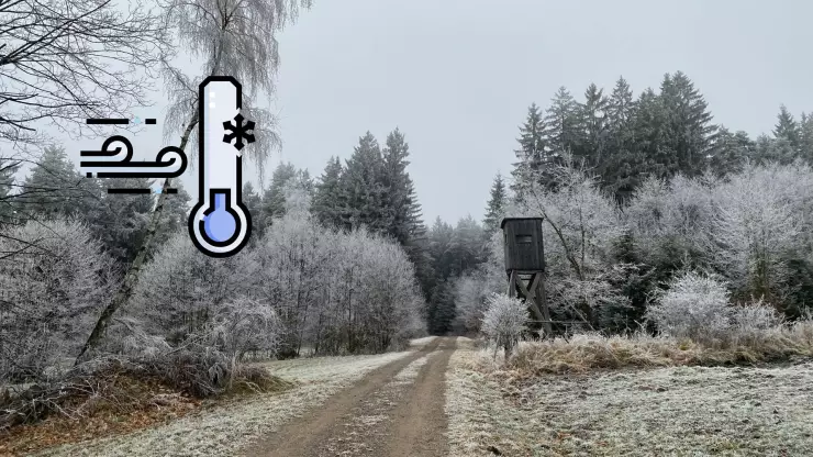 ¿Cuáles estados tendrán temperaturas bajo cero en México en diciembre 2025 Esto dice el pronóstico del frío