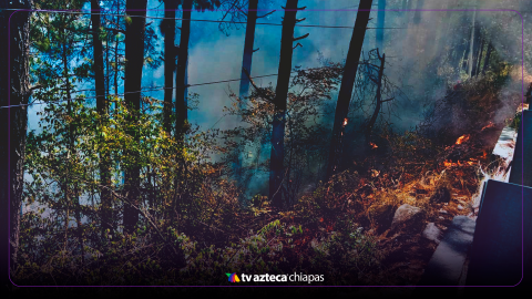 Incendio forestal en carretera San Cristóbal - Rancho Nuevo durante puente de marzo 2025 ¿Hay paso?