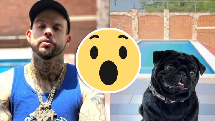 Emiliano Aguilar vs. Pepe Aguilar_ Perro del cantante entra a la pelea entre parte e hijo.jpg