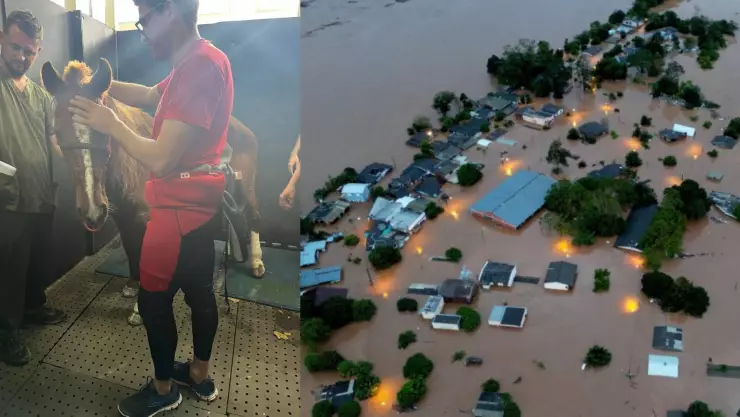 El caballo que se convirtió en el símbolo de esperanza en medio de las devastadoras inundaciones en Brasil