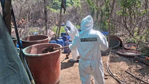 Localizan y desmantelan seis narcolaboratorios en Sinaloa