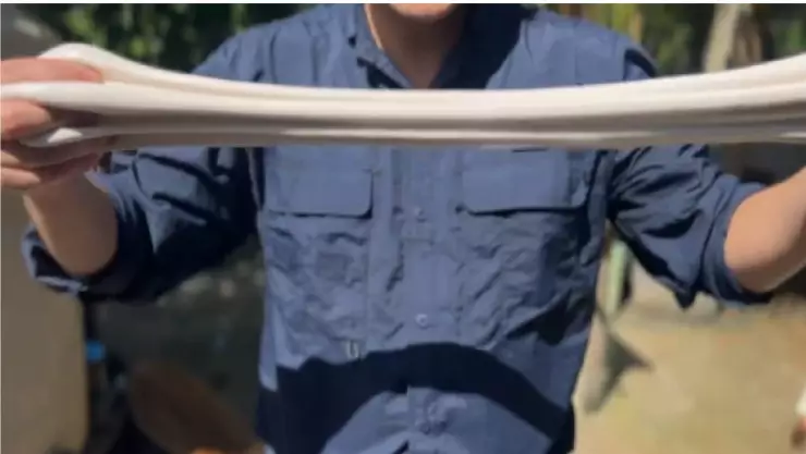 Denominación de Origen para el Chicle Maya_ Tradición y Sustentabilidad (1).jpg