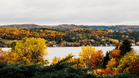 Vista de árboles y un lago en el parque Finger Lakes de Nueva York