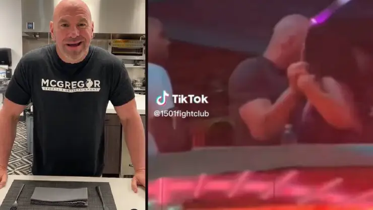 dana white