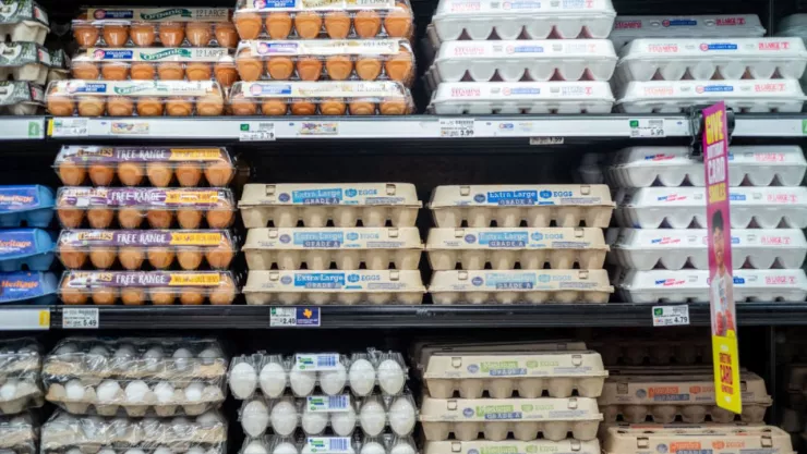 Crisis de huevo en EUA