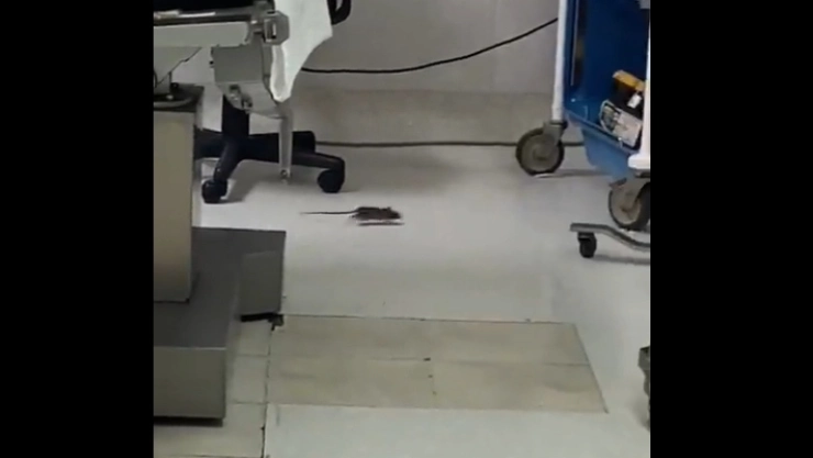 Video-Rata-clínica-ISSSTE-Baja-California-Sur-viral