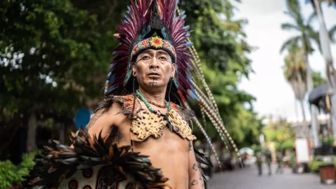 El xoconostle sirve para la diabetes