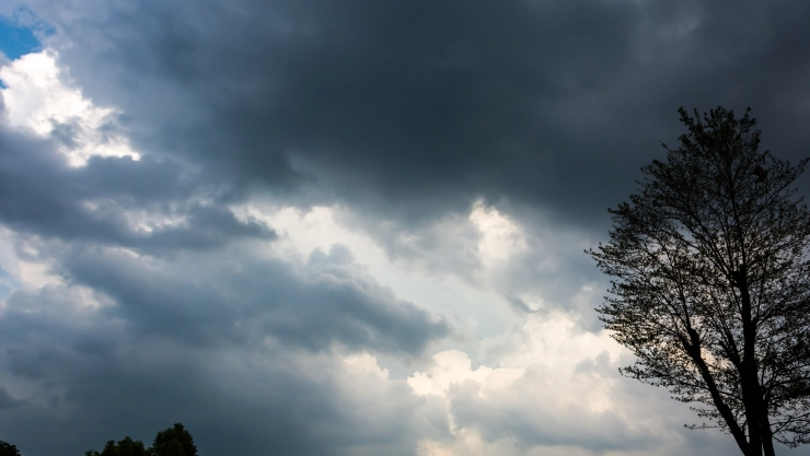 Clima fresco para este viernes 19 de enero del 2024