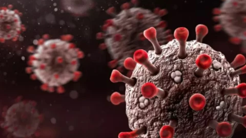 vih estado con más casos