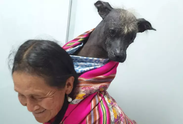 abuela perrito veterinario.jpg