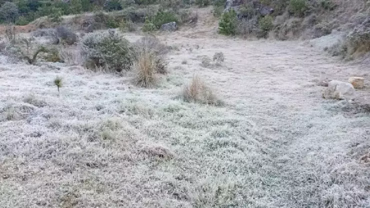 ¡Atención! Prevén ambiente fresco a frío y posibles heladas en Veracruz ¿Cuándo?