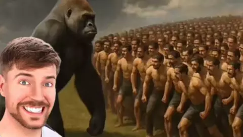 MrBeast 100 voluntarios para enfrentar a un gorila