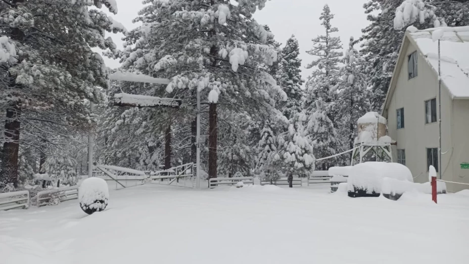 Horarios para visitar la Sierra de San Pedro Mártir.png
