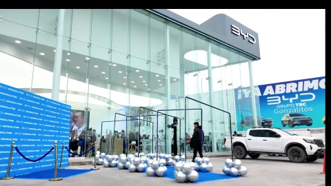 BYD Crecimiento Nacional