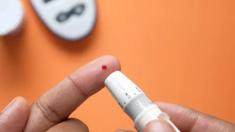 Células madre, ratones, diabetes 2.jpg