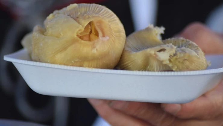 Tercera Feria del tamal_1