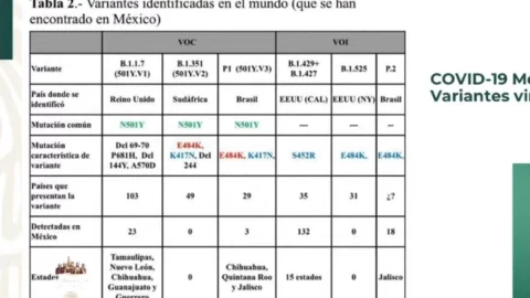variantes_coronavirus_mexico.jpg
