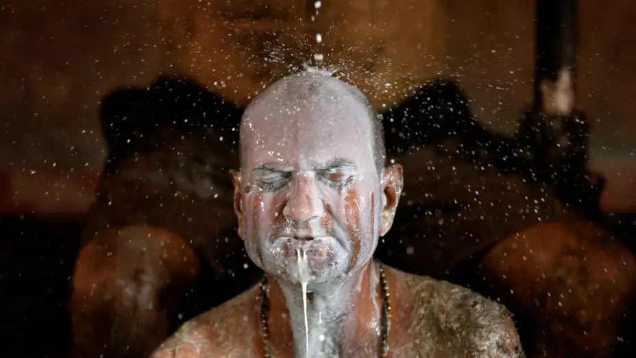 india_estiercol_leche.jpg