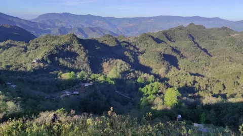 matrimonio-infantil-mexico-maltrato-usos-costumbres