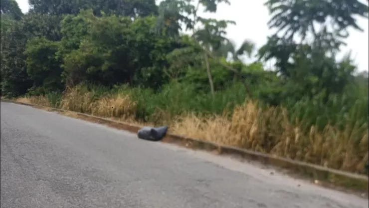 Restos humanos Villahermosa