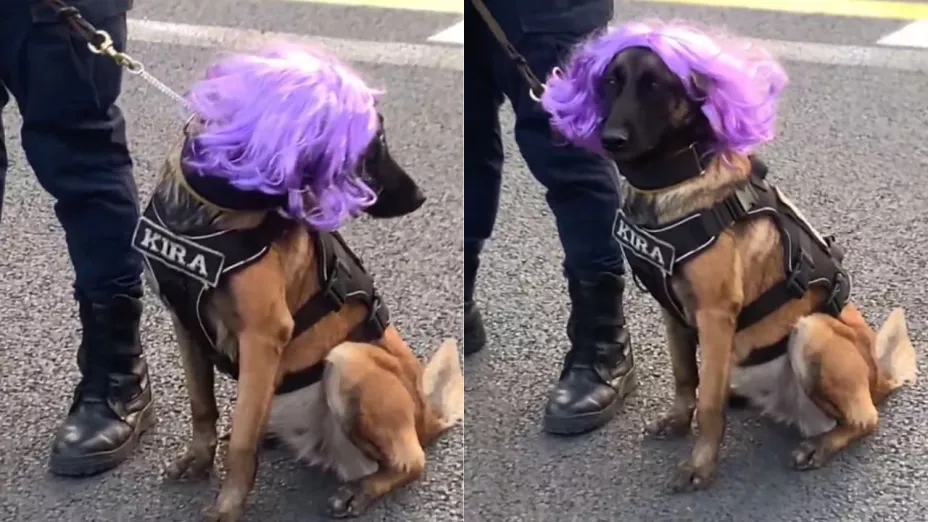 Texto del párrafo (64).jpg