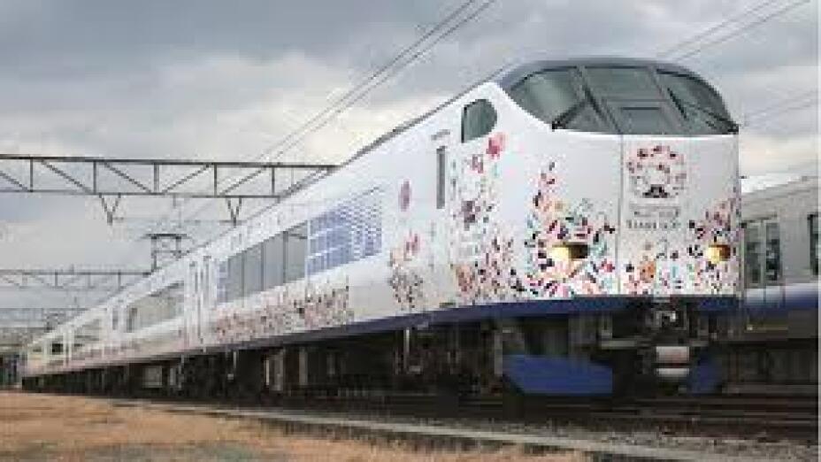 Tren Kitty.jpeg