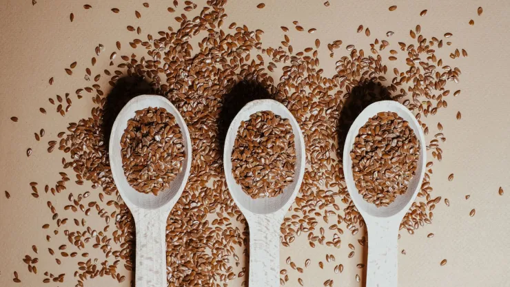 ¿Cuál es la semilla con nutrientes que fortalece tus neuronas? Así puedes consumirla