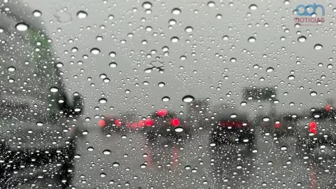 Hoy No Circula del 15 de octubre