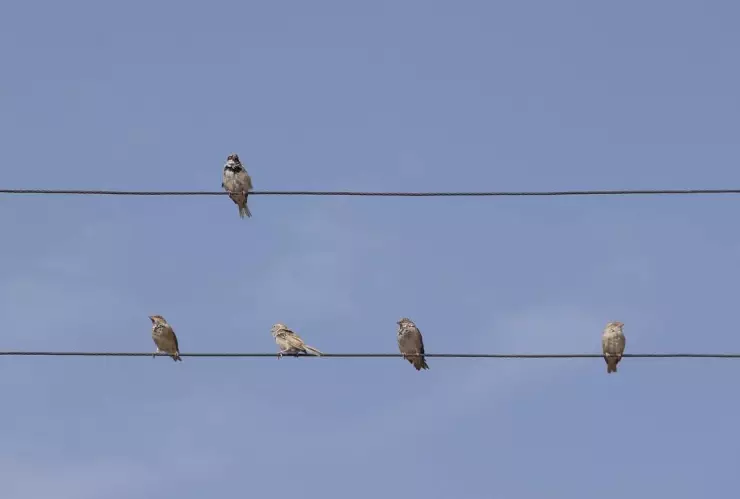 calidad del aire en Guanajuato