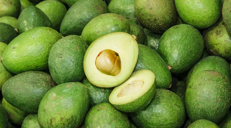 aguacates verdes