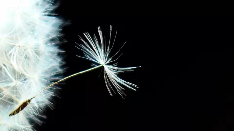 Calidad del aire en Torreón HOY jueves 3 de abril del 2025.jpg