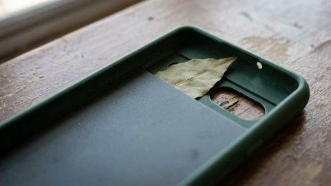 Hoja de laurel en funda de celular