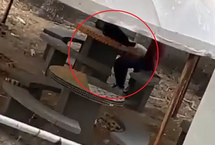 alumnos teniendo sexo escuela colombia