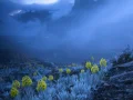 Fue tomada cerca del pico más alto de la cordillera oriental de los Andes colombianos