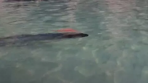 1280 x 720 px (6).jpg