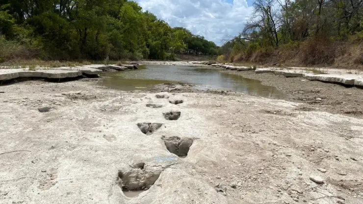Sequía en Texas deja al descubierto huellas de dinosaurios